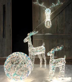 Boule lumineuse NAS