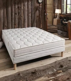 Matelas haute résilience Naturalis BIONIGHT