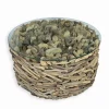 Table basse ronde bois flotté WOODREAM