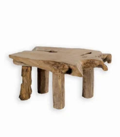 Table basse TECK RACINE