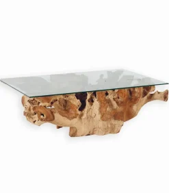 Table basse teck racine ROOTS avec plateau de verre
